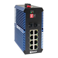 TSX-U-2GX/SFP-8GTP Промышленный неуправляемый коммутатор