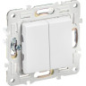 SKANDY Выключатель 2-клавишный SK-V04W скрытой установки 10А арктический белый (SK-V20-0-10-K01) Выключатель