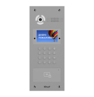 AA-07FBV SILVER Вызывная панель IP-домофона