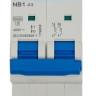 NB1-63 2P 13А 6кА х-ка C (DB) (R) CHINT (179657) Автоматический выключатель