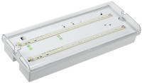 Светильник аварийный ДПА 5042-3 3ч IP65 LIGHTING (LDPA0-5042-3-65-K01) Светильник аварийный универсальный