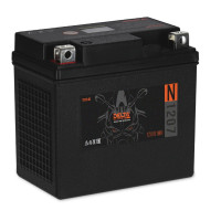 DELTA N 1207 Аккумулятор герметичный свинцово-кислотный стартерный