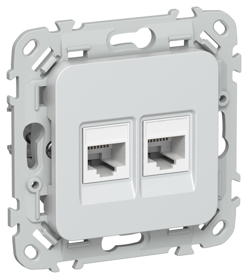 FLITE Розетка 2-местная компьютерная RJ45 кат 5Е UTP РК5е-2-0-ФлЖ скрытой установки жемчуг (FI-K22-1-K36) Розетка