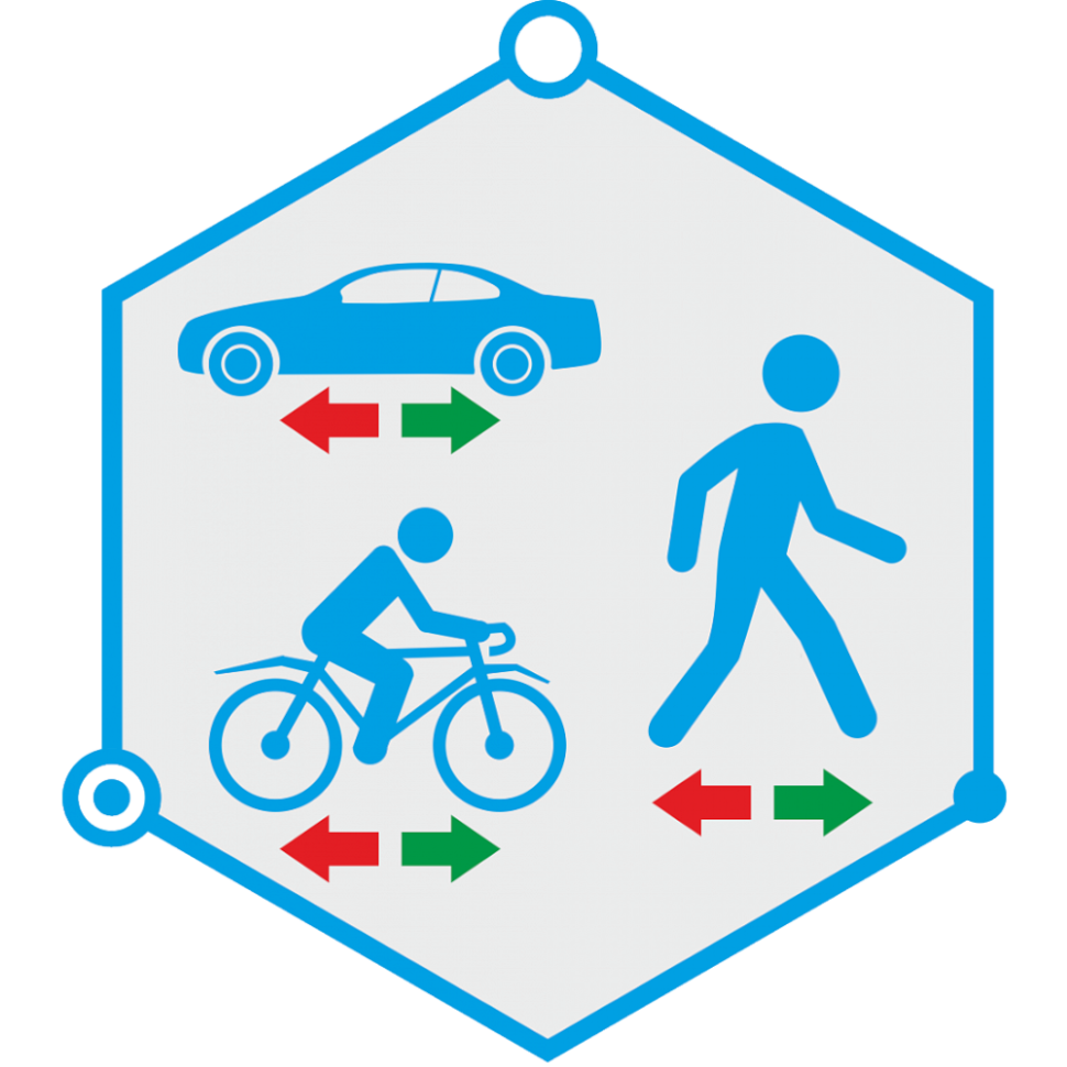 TRASSIR Direction Detector