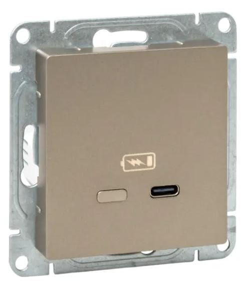 Механизм розетки USB-С, быстрая, шампань Эпика (UP1-SOC-USBCF) Механизм розетки USB