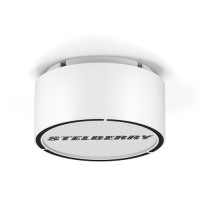 F-310W Громкоговоритель потолочно-настенный