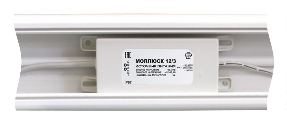 Моллюск 12/3 (866)