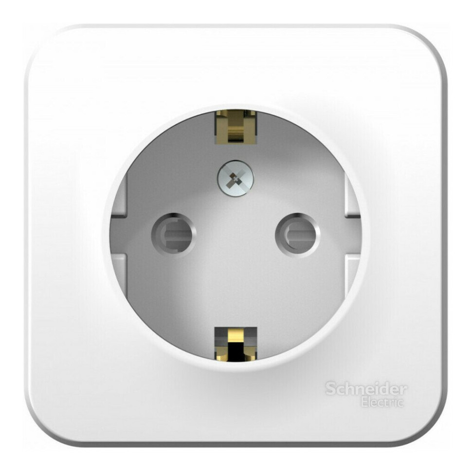 BLANCA розетка 1-местная с заземлением со шторками, открытой установки, белый (BLNRA011111) Розетка с изолированной пластиной