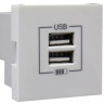 Розетка USB двойная, зарядная, белая (45439 SBR) Розетка USB двойная