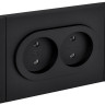 FORTE&PIANO Розетка 2-местная FP126M без заземления без защитных шторок безвинтовое крепление скрытой установки 10А металл черный (FP-R20-10-1-M-K02) Розетка