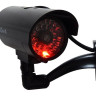 CO-DM025