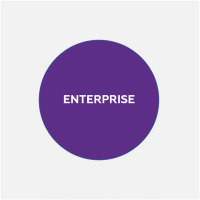 Macroscop Enterprise Программное обеспечение (опция)