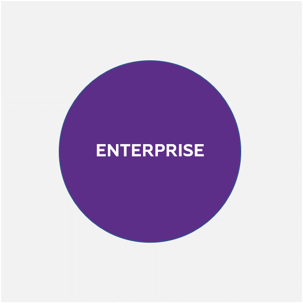 Macroscop Enterprise Программное обеспечение (опция)