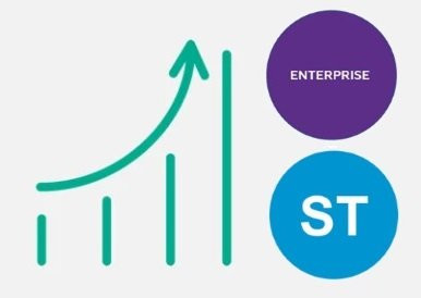 Расширение Macroscop ST - Macroscop Enterprise Программное обеспечение (опция)