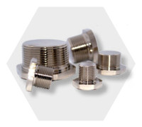 Р25 Заглушка взрывозащищенная