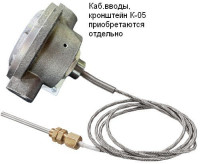 Спектрон-101-Т-Р-Exd-Н-ВЭ Извещатель пожарный тепловой взрывозащищенный