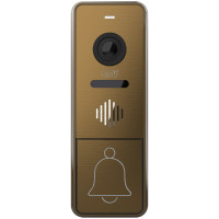 CTV-D4005 S Signal Br (бронза) Вызывная панель цветная