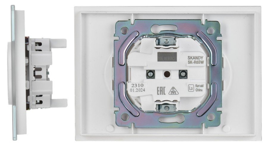 SKANDY Розетка 2-местная SK-R03W без заземления без защитных шторок для плоской вилки скрытой установки 10А стекло арктический белый (SK-R20-10-K01) Розетка без защитных шторок