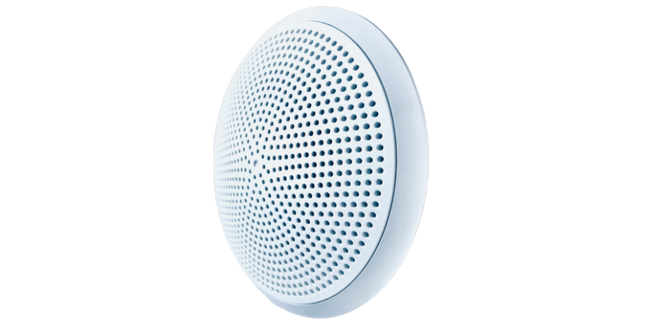 Соната-5Л исп.2 (4 Ом) Громкоговоритель потолочный