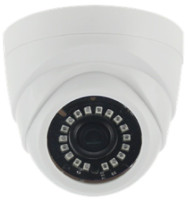 SR-ID25F36IRL IP-камера купольная