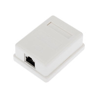 Розетка компьютерная внешняя, 2-порта FTP RJ-45 (8P8C), CAT 6 REXANT (03-0146) Розетка RJ-45