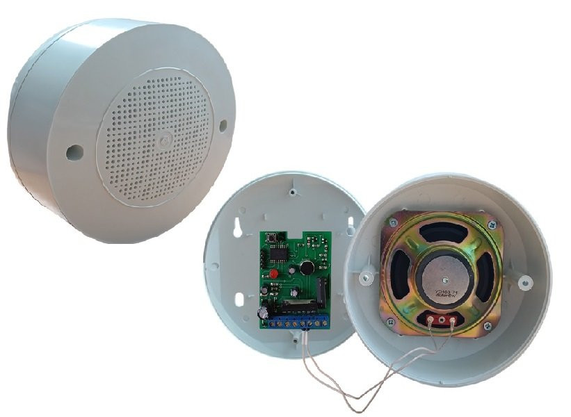 Лигард-Раскат Оповещатель речевой