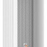 CS-810T Громкоговоритель колонного типа