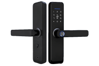 ALFL-17BL Замок электромеханический врезной биометрический